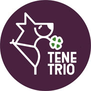 tenetrio
